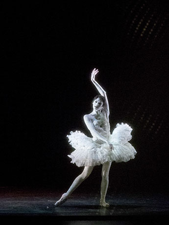 Ketevan Papava in Daniel Proiettos: "Cygne". © Wiener Staatsballett / Ashley Taylor 