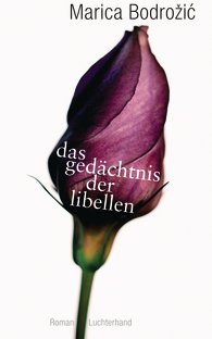 Buchcover: "Das Gedächtnis der Libellen"  © Luchterhand