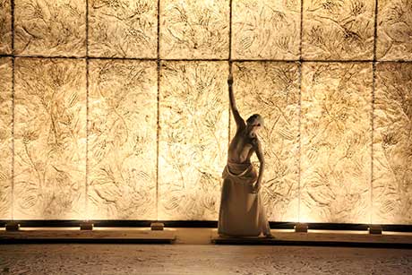 Leuchtender Bühnenhintergrund: Versteinerte Seelilien © Sankai Juku