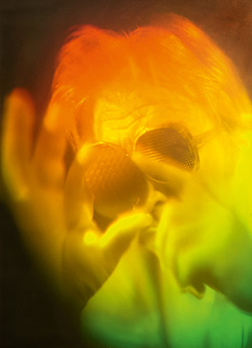 Alfons Schilling, 1986 Hologramm, holografiert von Ana Maria Nicholson © Nachlass Alfons Schilling