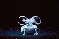 Der tröstliche Schluss: Harmonie unterm Sternenhimmel (Silvia Azzoni Lloyd Riggins ) © Kiran West