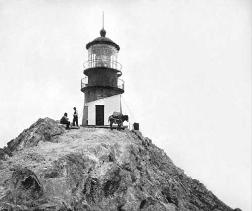 Historisches Fot des längst verfallenen Leuchtturms auf South Farallon. Maultiere schleppten das Material und die Nahrung. © Pulblic domain, United States.