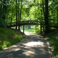 Im ruhigen Jenischpark liegt ein toter Sportler. © Ralf Puschmann