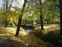 Nordschweden im Herbst, wenn die Schule wieder beginnt. © gemeinfrei