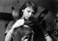 "Au hasard balthazar", Robert Bresson, ausgewählt als Hommage von Tilda Swinton. © Viennale 