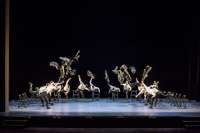 Ohd Naharin: Explosive Energie des Tiroler Ensembles
