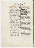 Eine Trouvaille: Übersetzung aus dem Arabischen von Flavio Mitridate für Federico di Montefeltro, Fürst von Urbino. © lizenzfrei