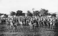 Kamelreiter der deutschen Schutztruppe während des Herero-Aufstands, 1904 © Bundesarchiv