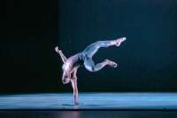 "Biophony": Anmut und Akrobatik © Quinn B Wharton