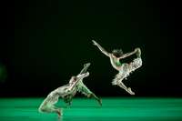 "Biophony" Getanzte Unter-Wasser-Klänge. © Quinn B. Wharton