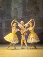 Maria Yakovleva (Karsawina), Denys Cherevychko (Nijinsky), Natascha Mair (Baldina): Pas de trois.