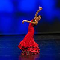 Auch Flamenco hat Platz bei Vibe. © VIBE