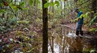 Das Marschland ist der Lebensraum für viele Vogelarten, Fische und Muscheln. © nature.org
