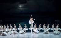 "Schwanensee" von Rudolf Nurejew mit Maria Yakovleva und Robert Gabdullin.  © Wiener Staatsballett / Ashley Taylor 