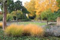 An einem warmen Sonntagmorgen liegt im Kannenfeldpark ein Toter mit eingeschlagenem Schädel. Das passt. Der Kannenfeldpark war früher ein Friedhof. © Stadtgaertnerei Basel