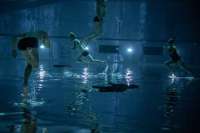 Unterwasser Foto aus dem atemberaubenden Film (und einer atemberaubenden Vorstellung 2019): "Zeitgeist" von und mit Hungry Sharks. © Jelena Jankovic