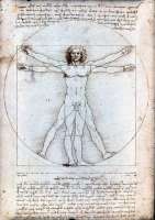 Leonardo da Vinci: Der vitruvianische Mensch, ca. 1490. © Wipedia / Galleria dell Accademia Venedig 