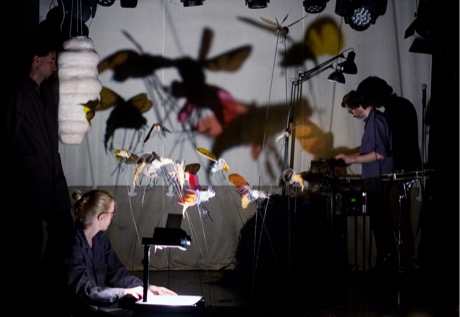 Die Insekten tanzen im Bühnenlicht. © J. Hass