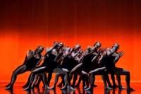 Von internen und externen Impulsen gesteuert: Ballet BC Vancouver in "Bedroom Folk"  © Michael Slobodian