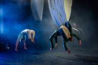 Pia Meuthen ahnt, dass in Zukunft die Choreografie eine andere sein wird. © Rob Hogeslag