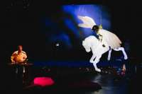 Eine hätte es fast geschafft: Flugpionierin Steiner galoppiert auf Pegasus durch die Lüfte. 