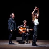 David Coria zeigt sein Flamencosolo "Tempo". David Lagos begleitet den bailor als cantaor, José Luis Medina  mit der guitarra flamenca.. 