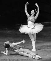 Medora im Tutu: Pas de deux aus "Le Corsaire" in der Choreografie von Rudolf Nurejew. © Daniel Southern ROH collection nureyev org