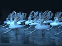 Immer noch gern gesehen: Blanc de blanc im sogenannten Schattenakt im Ballett „La Bayadère" . © wikipedia
