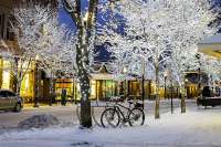 Aspen downtown. Im berühmten Skiort Aspen ist Adam, der Erzähler, geboren.  © earjunkie.com