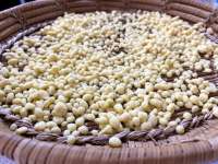 Nemus fregula Zum Wein passt eine Schüssel sa frégula, geröstete Nockerl aus Hartweizen, in Fischsuppe mit geheimnisvollen Zutaten gegart. Eine echte Delikatesse. © wikipedia / gemeinfrei, geröten