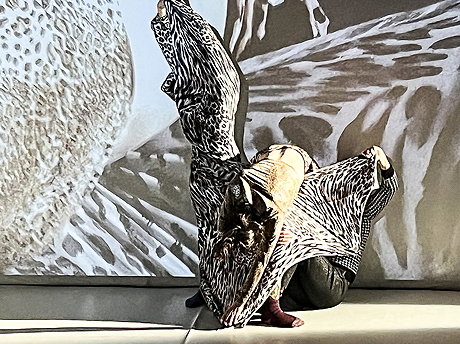 Adler oder Gespenst, Bild oder Abbild? 