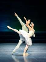 Der Prinz und die Schwanin: Davide Dato mit Kiyoka Hashimoto.