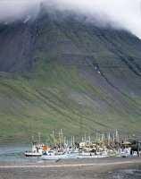 Heinrich findet das Gehöft, wo seiner Mutter isländisches Leben begann, in den Westfjorden. Eines Morgens besteigt er den Berg Ernir und verirrt sich im Nebel.