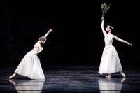 Giselle bittet Myrtha um Gnade für ihren untreuen Geliebten. (Trenary,  Rosa Pierro)