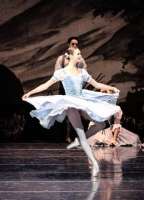 Verliebt und ahnungslos tanzt Giselle. Eine Rolle, wie für Elena Bottaro geschaffen.