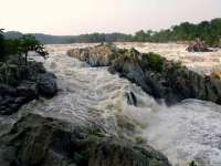 Hohwasser im Grat Falls Park, hier wurde Eugene von Besucherinnen gesehen. © wikipedia
