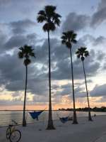 Der krestivitätsfödernde Südstrand des Eckerd College in St. Petersburg / Miami, wo Lehane studiert hat und nun Kreatives Schreiben unterrichtet. © Seekadventuremedia /wiki