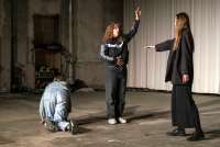 Animalarium: die Performerinnen tanzen singen, plaudern, zum Thema ,das vom Publikum ausgewählt worden ist. © P. Cohen.