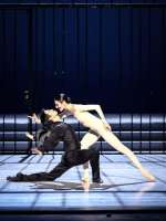 Bella umgirrt Johann, doch bleibt blind. (Papava, Kimoto)