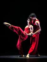 António Casalinho , Victor Vaixeta: Zwei Erste Solisten im zarten Pas de  deux.