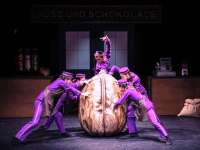 In der Riesennuss ist eine Überraschung. einmal geöffnet, dient sie als Lehnsessel.