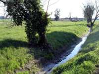 So öde wie oft kolportiert sind die Banlieues nicht: In Seine-Saint-Denis liegt der riesige Naturpark le Sausset, durch den der gleichnamige Bach fließt. © wikipédia
