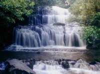 Die großartike Kaskade des Purakaunui Falls in Neuseeland . © James Dignan / wikipedia Die großartike Kaskade des Purakaunui Falls in Neuseeland . © James Dignan / wikipedia