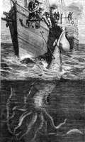 Die IIlustration von 1889: Die Besatzung der Alecton harpuniert 1861 gut 200 km nordöstlich von Teneriffa einen Riesenkalmar. © gemenfrei