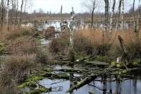 „Slough House“ ist nicht nur der Titel des 7. Bandes der Jackksn Lamb-Serie, sondern auch der Ort, wo die slow Horses untergebracht sind. Slough bedeutet Sumpf, unsicherer Boden.