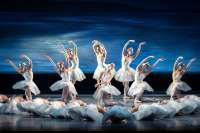 Das Ballett ist auch in großen Opernhäusern meist die Nummer 2.   Im Bild: Das Damenensemble des Wiener Staatsballetts in „Schwanensee“ 2024. © Ashley Taylor / Wiener Staatsballett