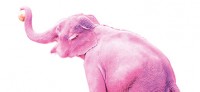 Alkoholumnebelte Engländer sheen keine weißen Mäuse sondern einen "pink Elephant" © http://www.rollingpin.at/magazin/ausgaben/176/einmal-rosa-elefant-bitte/