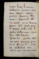 Eine Seite aus dem Abrogans (Codex_Sangallensis) © Virtual_Manuscript_Library_of_Switzerland