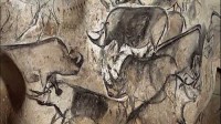 Höhlenmalerei von Chauvet: Wollnashörner © Screenshot aus dem Film "Die Höhle der vergessenen Träume" von Werner Herzog, gemeinfrei