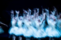 In den "weiße Akten" hält sich Neumeier an lew Ivanov, den ersten Choreografen des Balletts "Schwanensee". © Kiran West